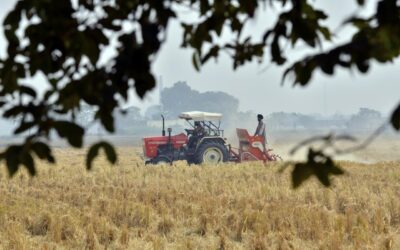 The Need for Land Leasing Reforms in Punjab’s Agricultural Sector