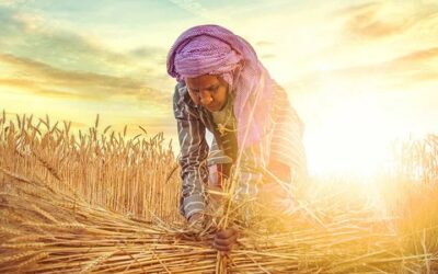 Agriculture Is India’s Ray of Hope in Time of Crisis