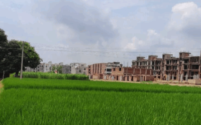 เจฌเฉเจนเจฟเจธเจพเจฌเจพ เจถเจนเจฟเจฐเฉเจเจฐเจจ เจชเจฐ เจเจฟเจธ เจเฉฐเจฎ?