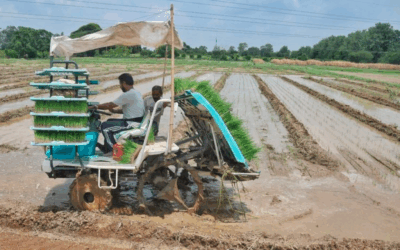 Punjab economy a victim of neglect & populism